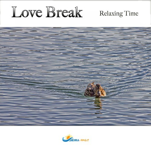 Aa.vv-Love Break (relaxing Time
