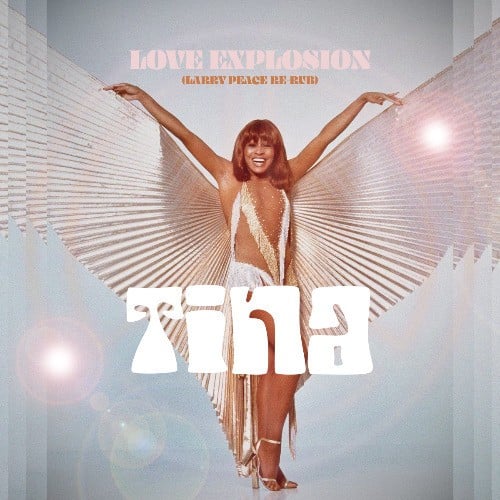 Tina Turner, Larry Peace-Love Explosion