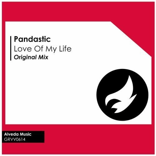 Pandastic-Love Of My Life
