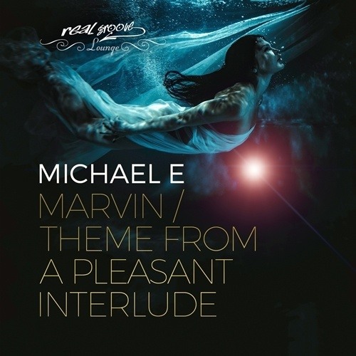 Michael E-Marvin / Theme From A Pleasant Interlude