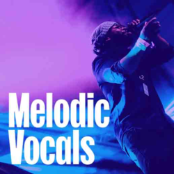 Melodic Vocals - Music Worx