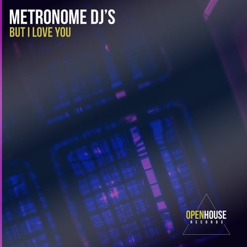 Metronome DJ's-But I Love You