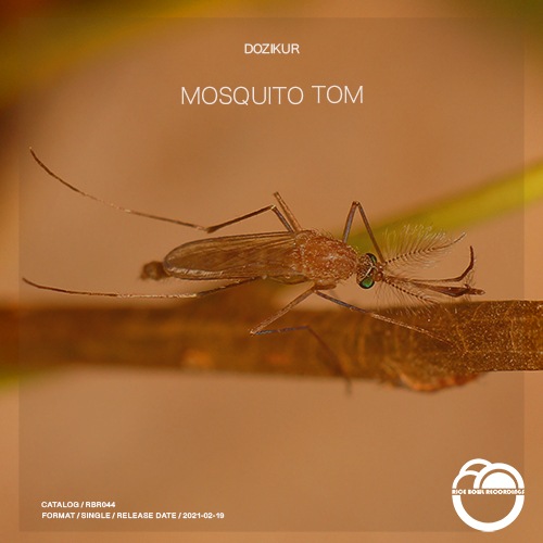 Dozikur-Mosquito Tom