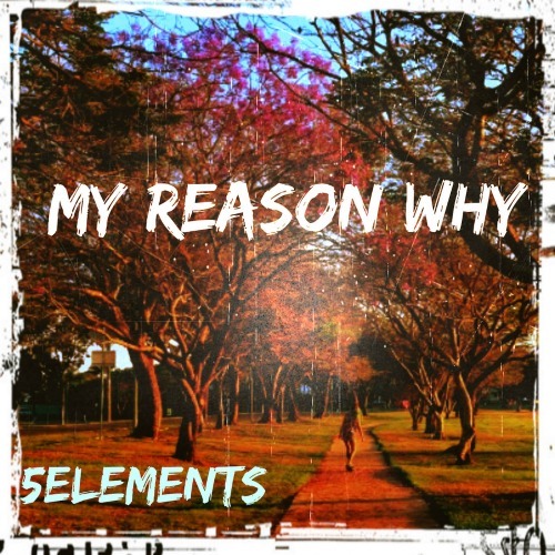 5 Elements, Inside & Out-My Reason Why