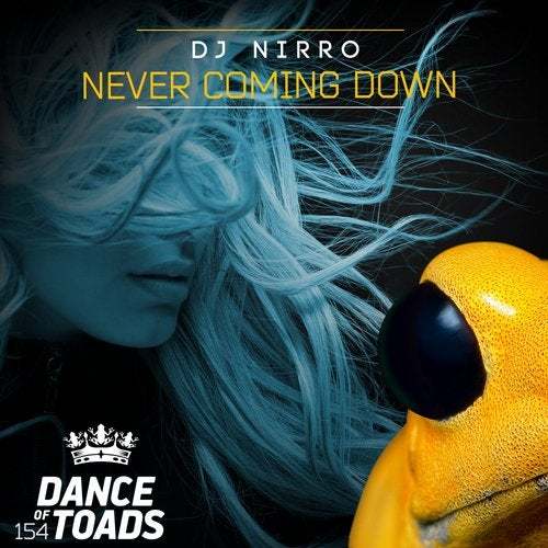 Dj Nirro-Never Coming Down