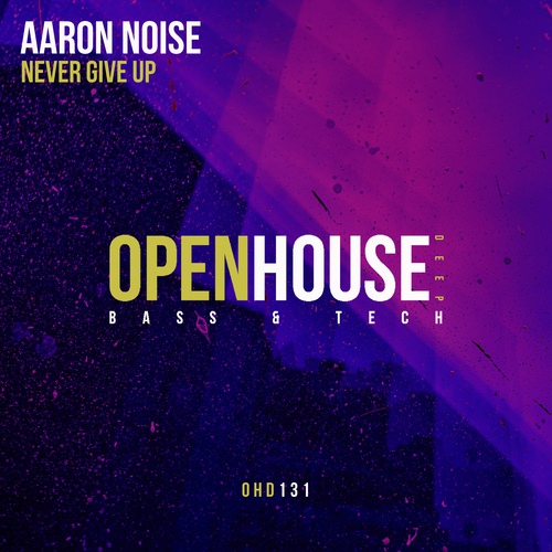 Aaron Noise-Never Give Up