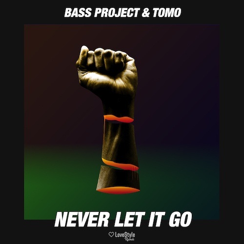 Bass Project & Tomo-Never Let It Go