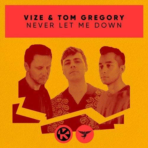 Vize & Tom Gregory-Never Let Me Down