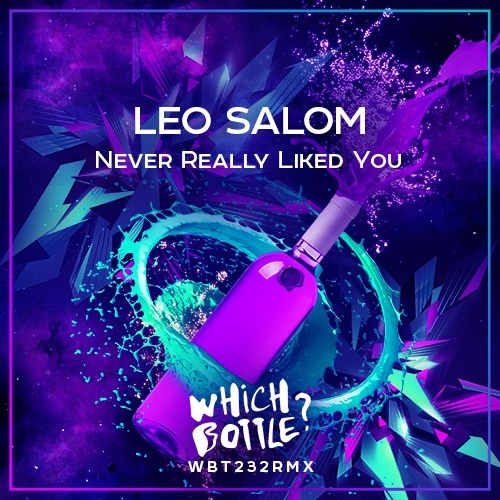 Leo Salom-Never Really Liked You