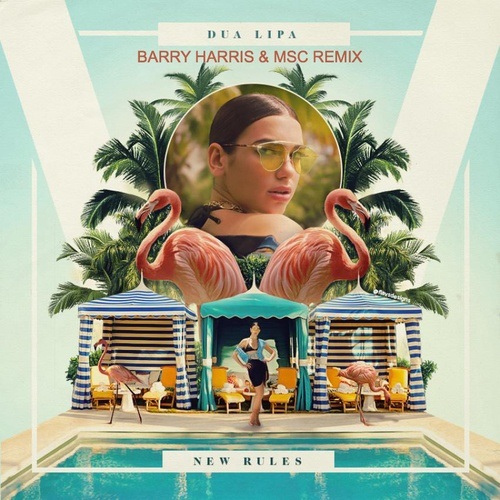 Dua Lipa, Barry Harris, Msc-New Rules