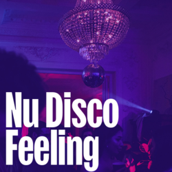 Nu Disco Feeling - Music Worx