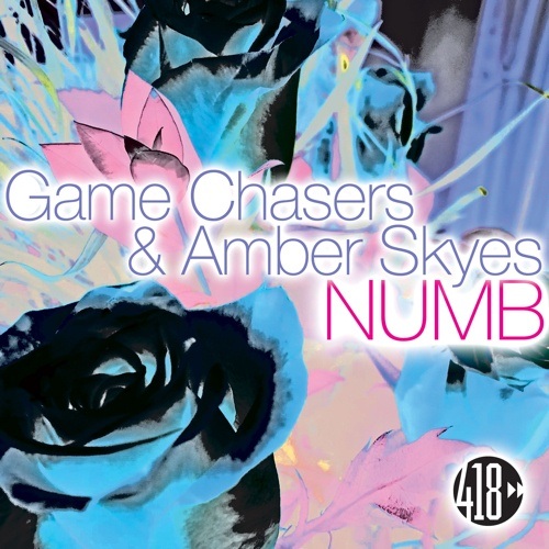 Game Chasers & Amber Skyes, Slim Tim-Numb