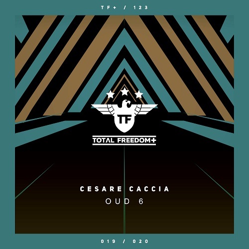 Cesare Caccia-Oud 6