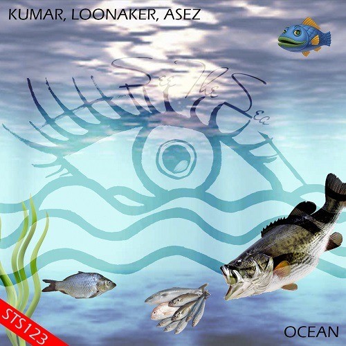 Kumar, Loonaker, Asez-Ocean