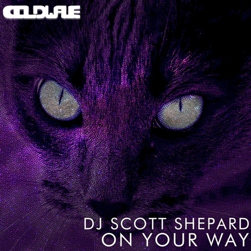 dj scott shepard -On Your Way