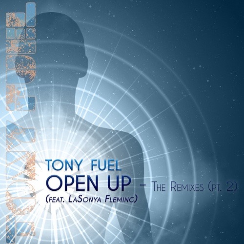 Tony Fuel Ft. Lasonya Fleming, Audiohaulix, Rob Moore, Spin Sista, Spare, Clueless, Gt Slaag, Sisco Kennedy , tony fuel, Thee Werq'n B!tches, Larry Peace-Open Up