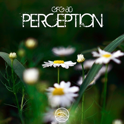 GFG 80-Percepcion