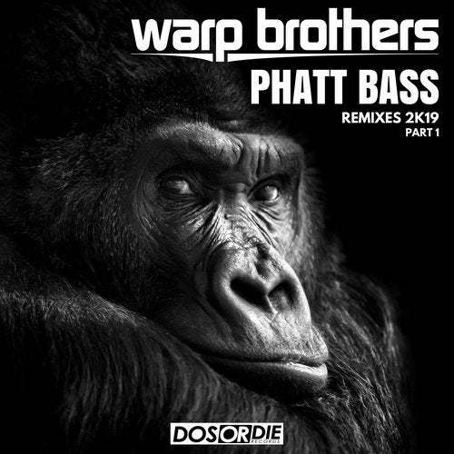 Warp Brothers, David Novacek-Phatt Bass
