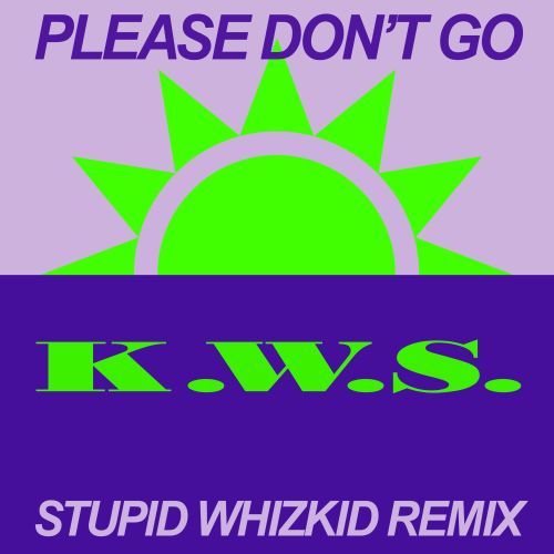 Please Don't Go (stupid Whizkid Remix)