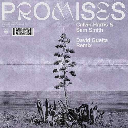 Promises (david Guetta Remix)