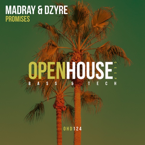 DZYRE, MadRay-Promises