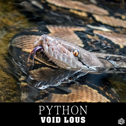 Void Lous-Python