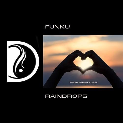Funku-Raindrops