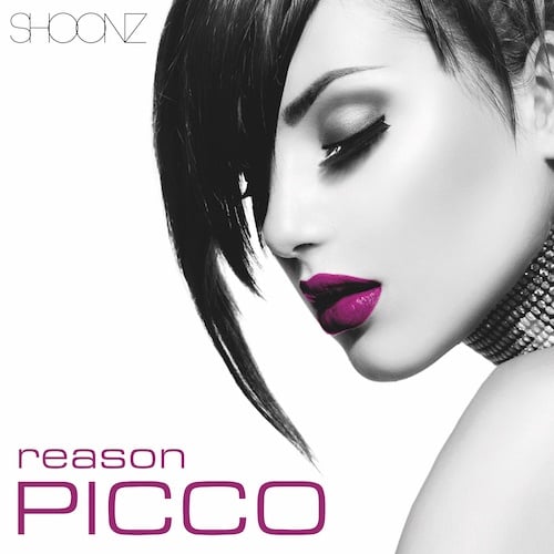 Picco-Reason