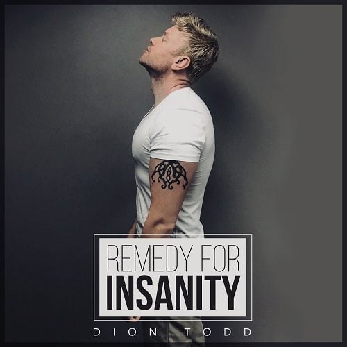 Dion Todd-Remedy For Insanity