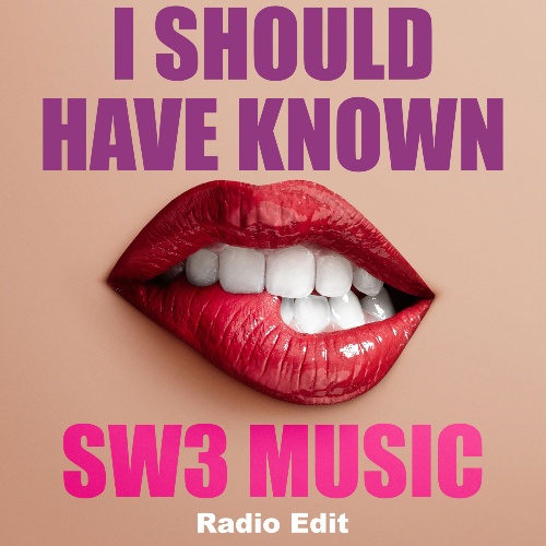 SW3 Music, Danny Kirsch, Evolve, Luv Foundation (UK), Harvey Wallbanger, Steve Warner Remix-I Should Have Known