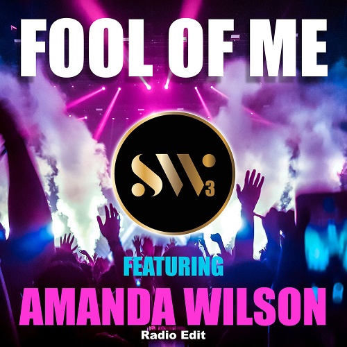 SW3 Featuring Amanda Wilson, SW3, Alex Kirsch-Fool Of Me