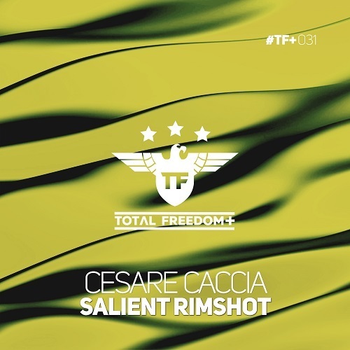 Cesare Caccia-Salient Rimshot