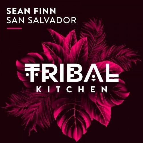Sean Finn-San Salvador