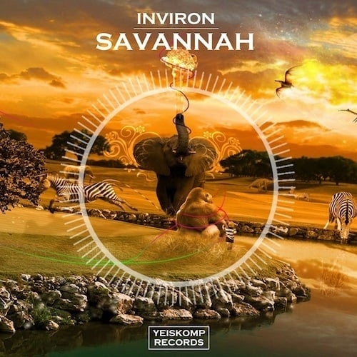 Inviron-Savannah
