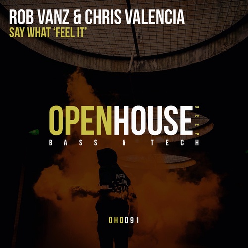 Rob Vanz & Chris Valencia-Say What (feel It)