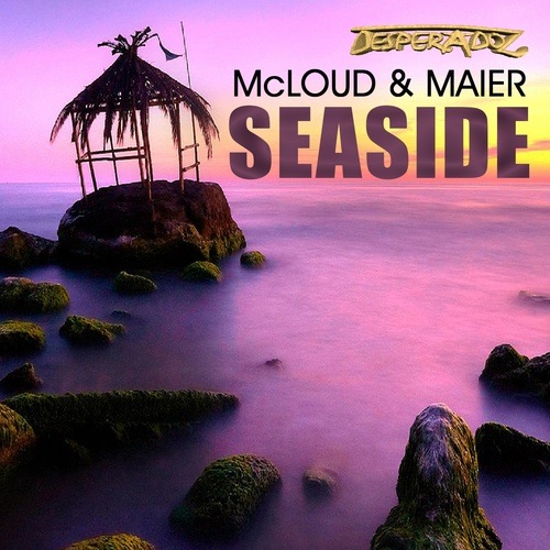 Mcloud & Maier-Seaside