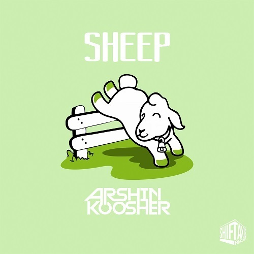 Arshin Koosher -Sheep