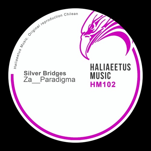 Za__paradigma-Silver Bridges