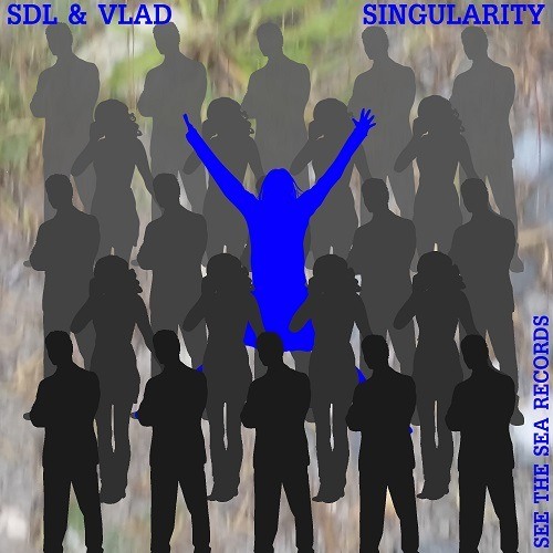 Sdl & Vlad-Singularity