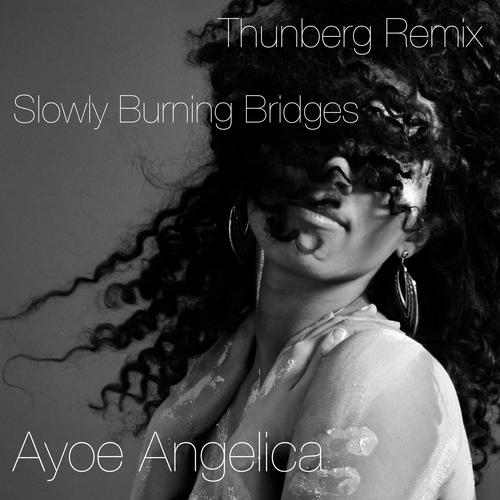 -Slowly Burning Bridges Remixed