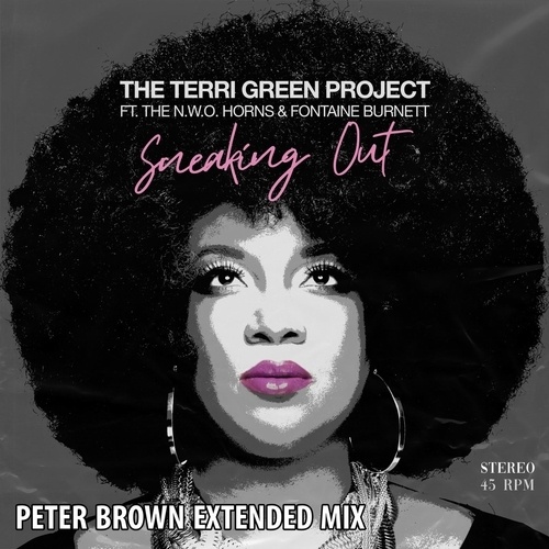 The Terri Green Project, Peter Brown-Sneaking Out