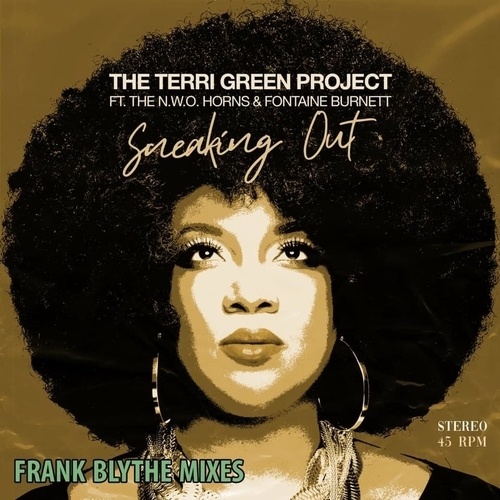 The Terri Green Project, Frank Blythe-Sneaking Out (frank Blythe Mixes)