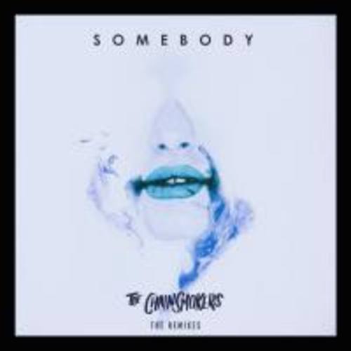 The Chainsmokers & Drew Love, T Mass, Sippy, Ruhde, Naderi, Piros, Fluencee-Somebody (remixes)