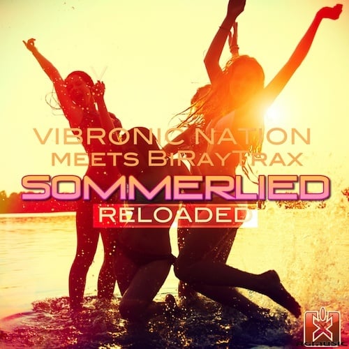 Vibronic Nation Meets Biraytrax, Noyesman, Ray Bounz!, Vibro Dance, Fungist-Sommerlied Reloaded