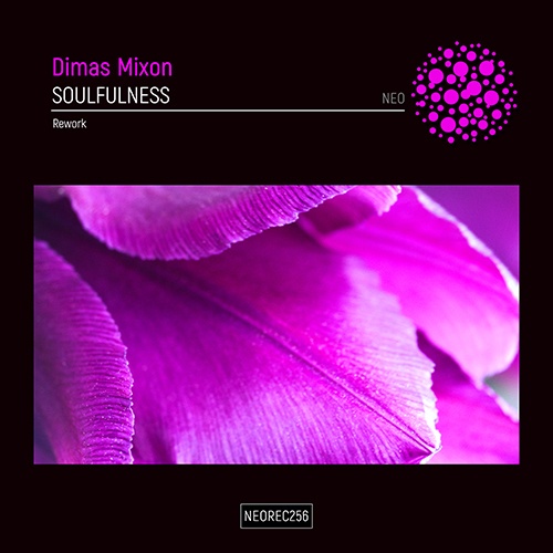 Dimas Mixon-Soulfulness (rework)