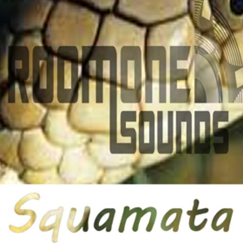 Roomonesounds-Squamata