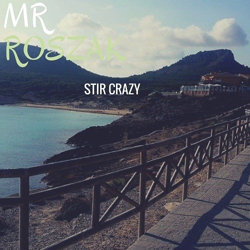 Mr Roszak-Stir Crazy