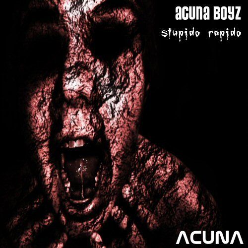 Acuna Boyz-Stupido Rapido