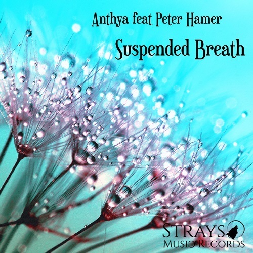 Anthya Feat Peter Hamer-Suspended Breath