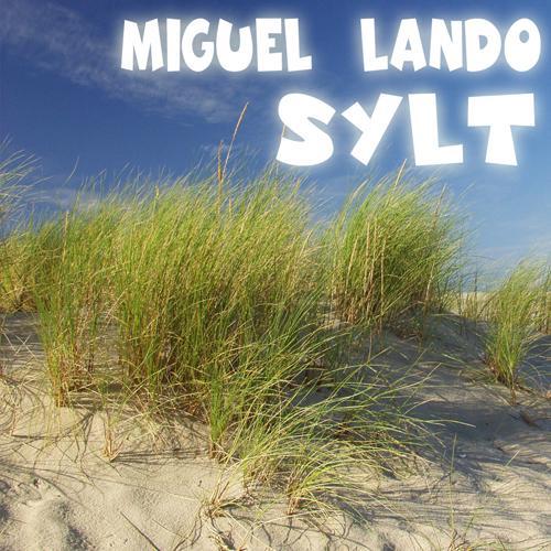 Miguel Lando-Sylt